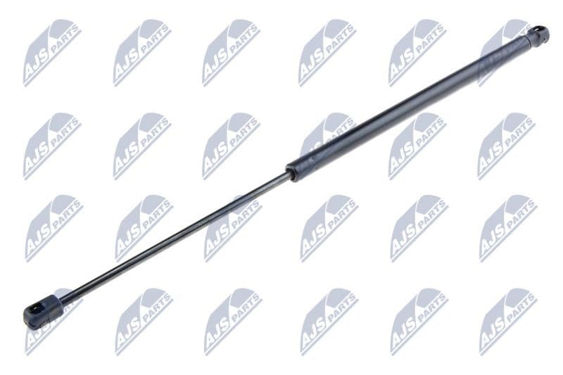 Amortizor portbagaj NTY AE-FR-029