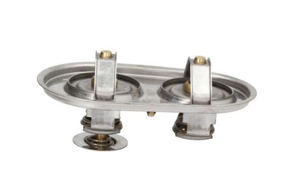 termostat,lichid racire THERMOTEC D2SC009TT