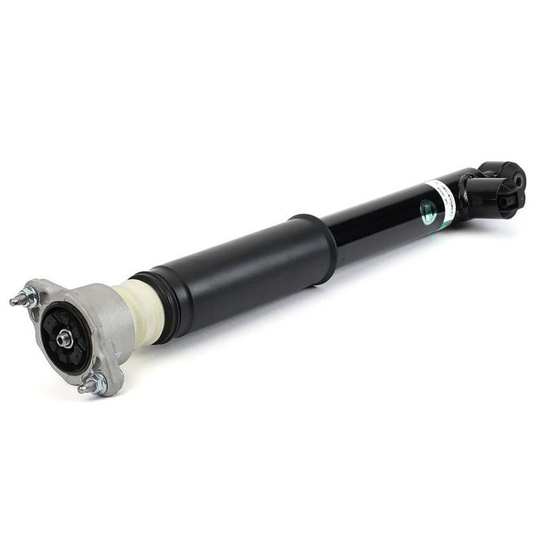 amortizor Arnott SK-3059