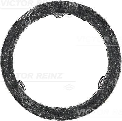 Garnitura, galerie evacuare VICTOR REINZ 71-10129-00