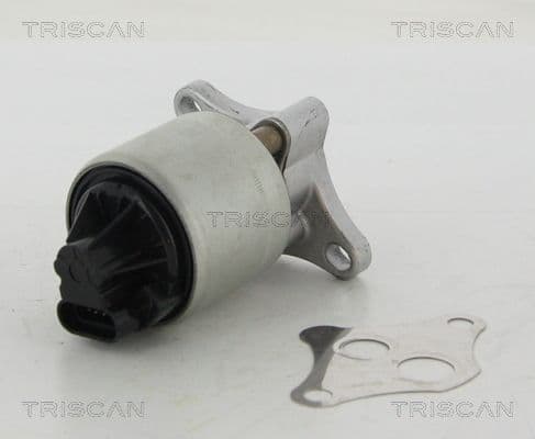 Supapa EGR TRISCAN 8813 24004
