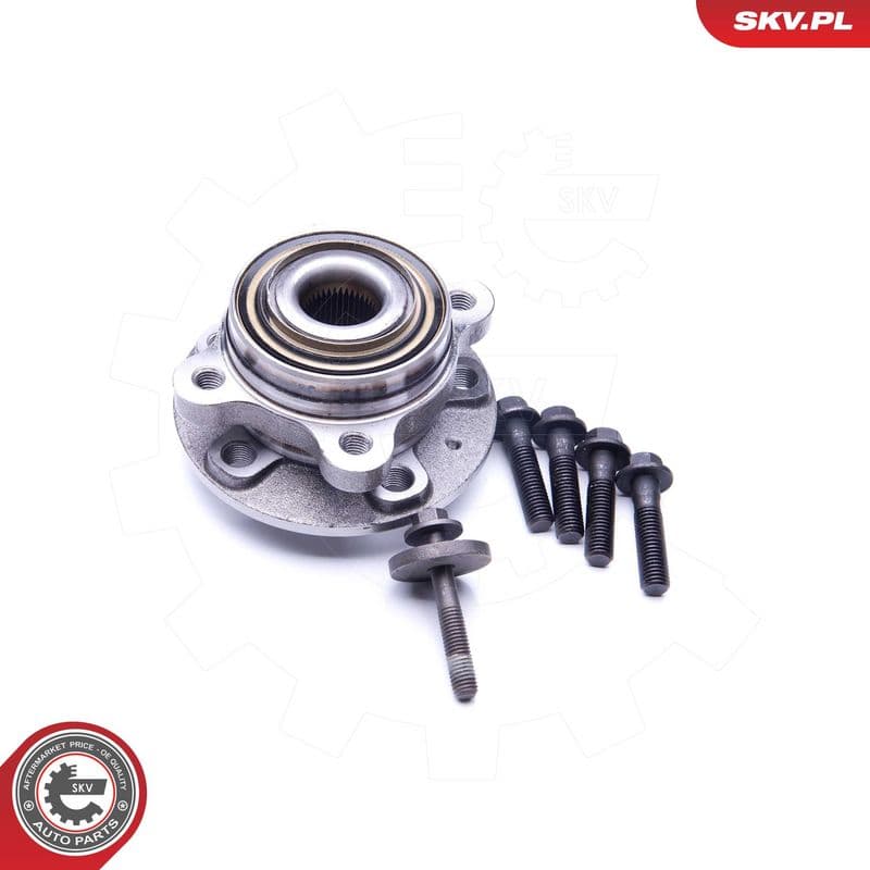 Set rulment roata ESEN SKV 29SKV263