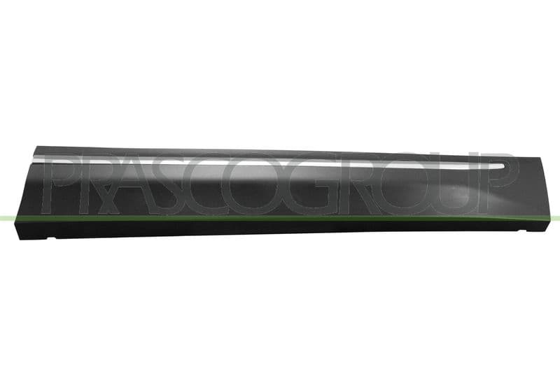 Elemente decorative/protectie, portiera PRASCO SK8101413