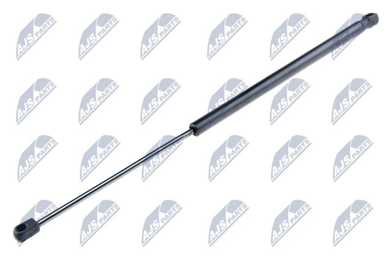 Amortizor portbagaj NTY AE-FR-013