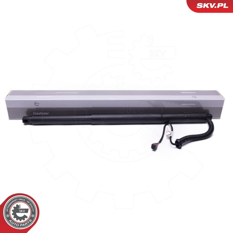 Motor electric, haion ESEN SKV 52SKV959