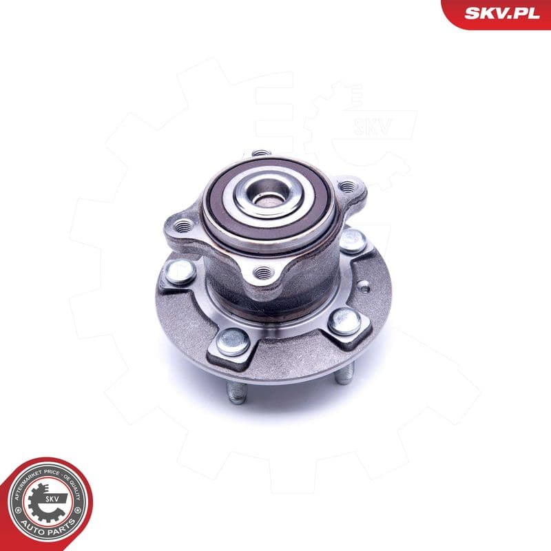 Set rulment roata ESEN SKV 29SKV249