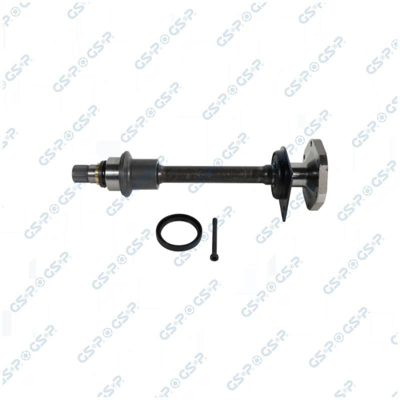 Arbore, diferential GSP 203383