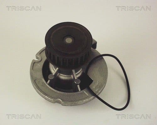 Pompă de apă, răcire motor TRISCAN 8600 24010