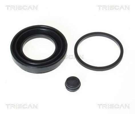 garnitura,piston etrier TRISCAN 8170 189925