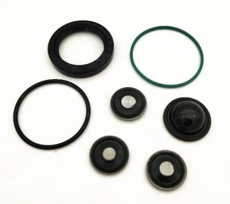 Set reparatie, pompa combustibil MTR 12209997