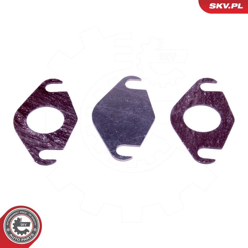 Set de reparație, supapă AGR ESEN SKV 14SKV577