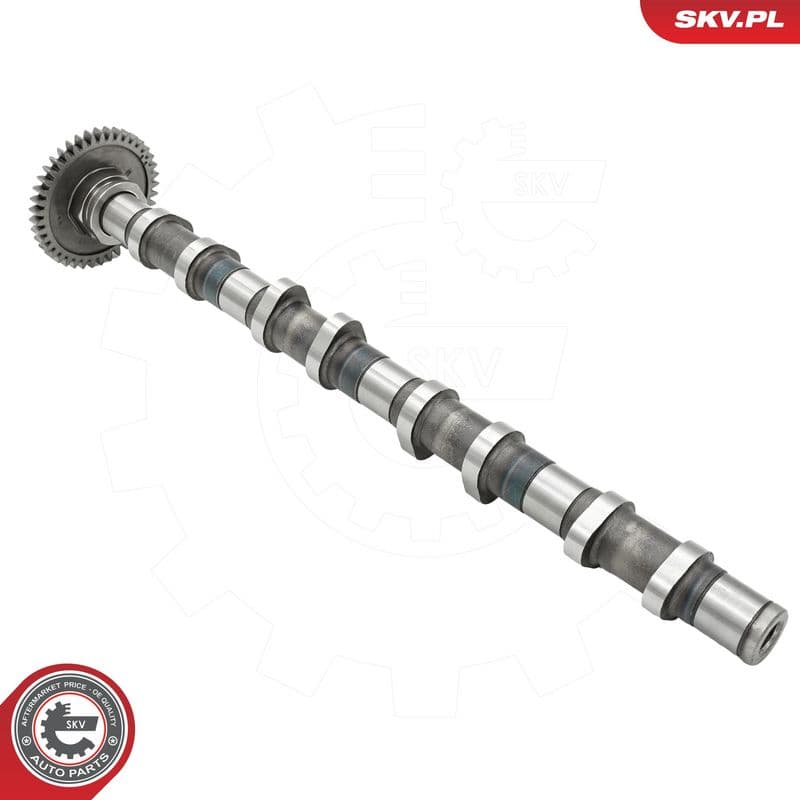 Ax cu came ESEN SKV 80SKV013