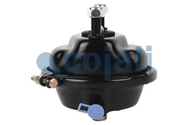 Cilindru receptor frana cu membrana COJALI 2351302