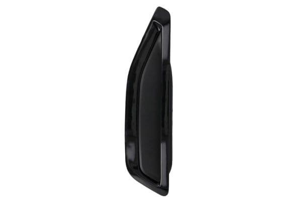 Elemente decorative/protectie, aripa BLIC 5703-08-0098375P