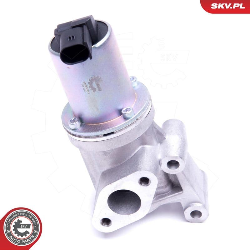 Supapa EGR ESEN SKV 14SKV211