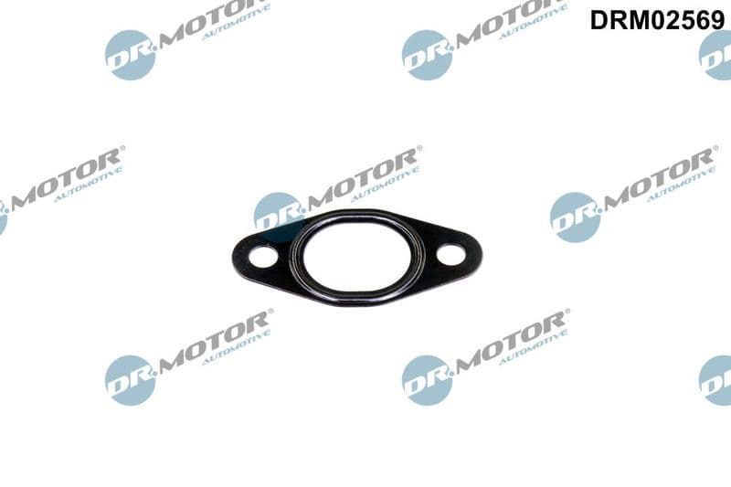 Garnitura, conducta supapa-AGR Dr.Motor Automotive DRM02569