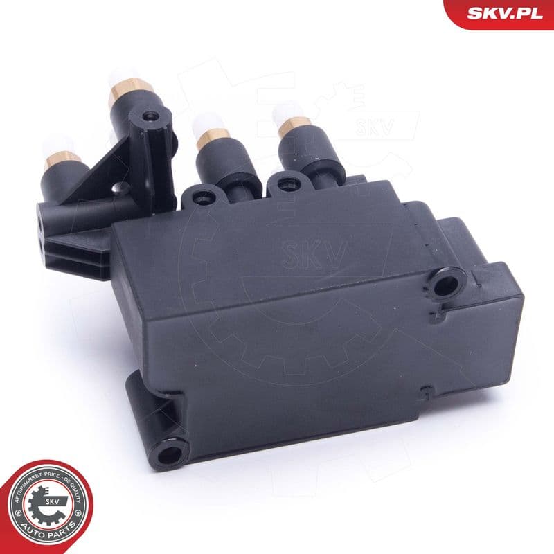 supapa,sistem supraalimentare ESEN SKV 93SKV808