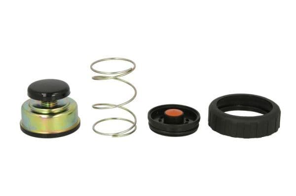 Set reparatie, pompa combustibil ENGITECH ENT110345