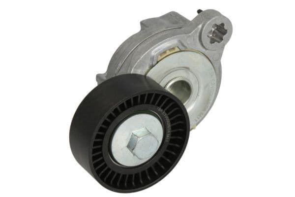 Intinzator curea, curea distributie BTA E3V0002BTA