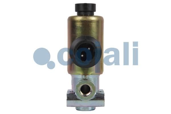 Supapa magnetica COJALI 2218215