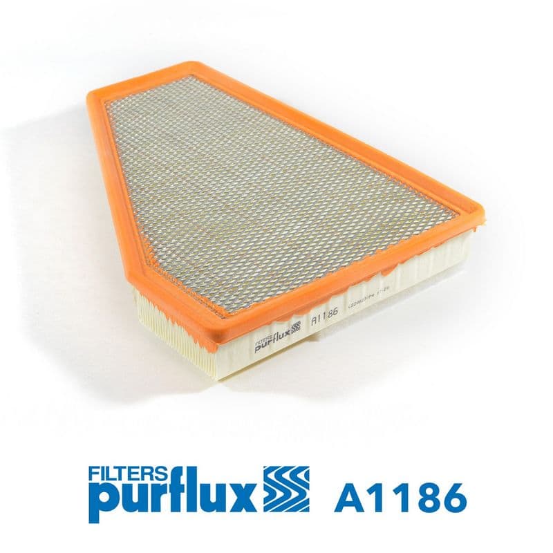 Filtru aer PURFLUX A1186