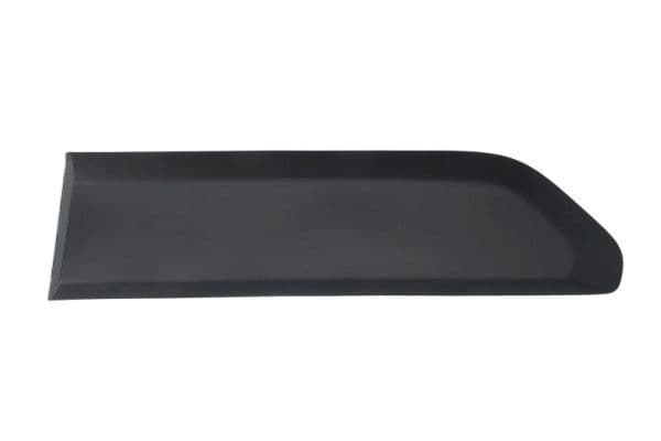 Elemente decorative/protectie, portiera BLIC 5703-04-0554573P