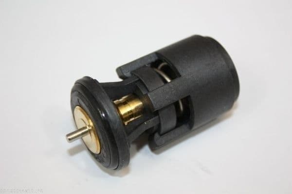 termostat,lichid racire AUTOMEGA 160044810