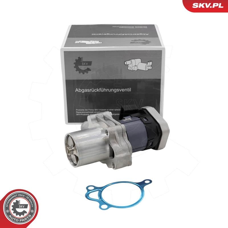 Supapa EGR ESEN SKV 14SKV305