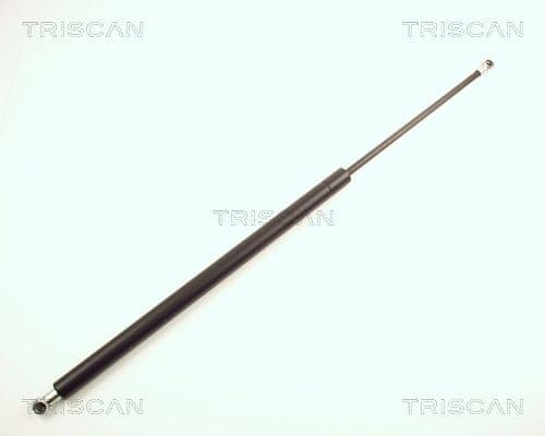 Amortizor portbagaj TRISCAN 8710 24213