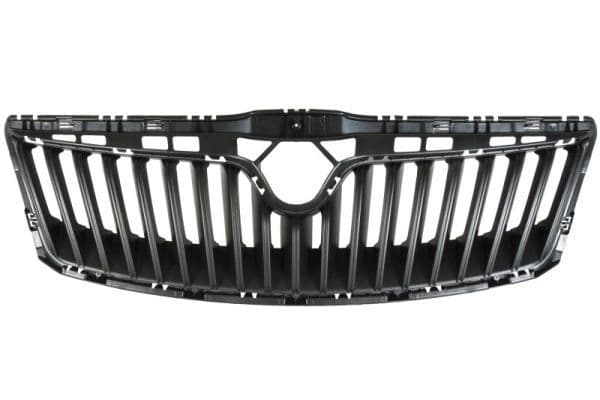 Grila radiator BLIC 6502-07-7521995Q