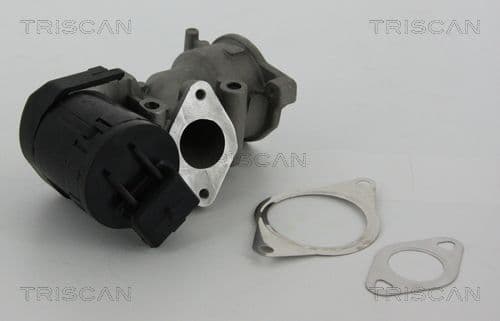 Supapa EGR TRISCAN 8813 10001