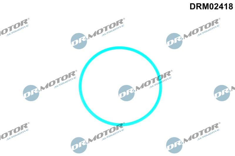 Garnitura, pompa combustibil Dr.Motor Automotive DRM02418
