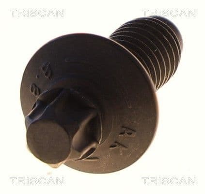 Bolturi fixare, brat suspensie TRISCAN 8501 0513