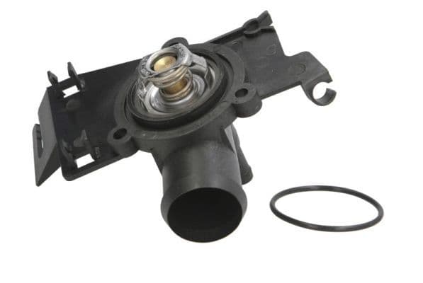 termostat,lichid racire THERMOTEC D2S002TT