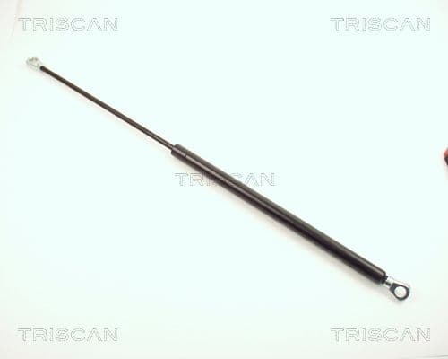 Amortizor portbagaj TRISCAN 8710 1601