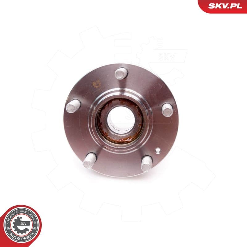 Set rulment roata ESEN SKV 29SKV058