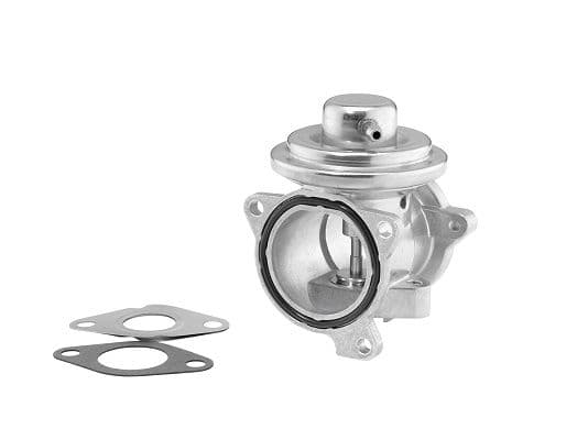 Supapa EGR BorgWarner 7271D