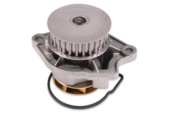 Pompă de apă, răcire motor HEPU P541
