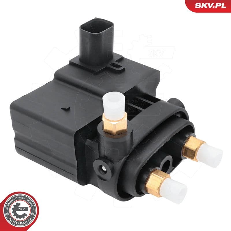 supapa,sistem supraalimentare ESEN SKV 93SKV820