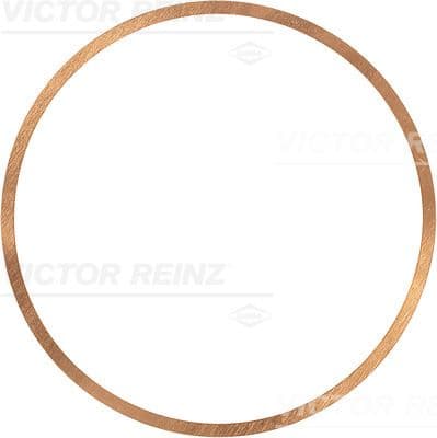 Garnitura, chiulasa REINZ 41-70564-10