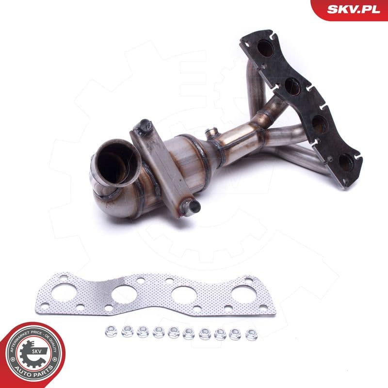 Catalizator ESEN SKV 62SKV003