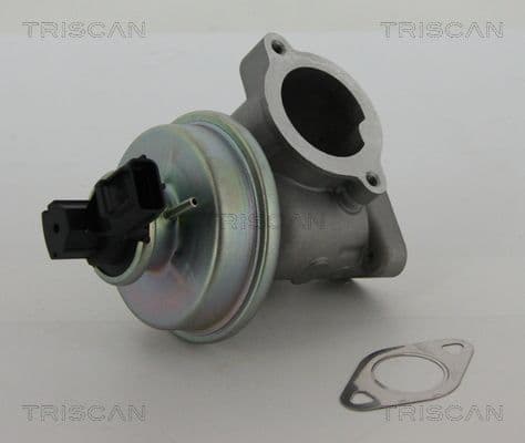 Supapa EGR TRISCAN 8813 16012