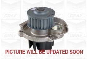 Pompă de apă, răcire motor GRAF PA1030