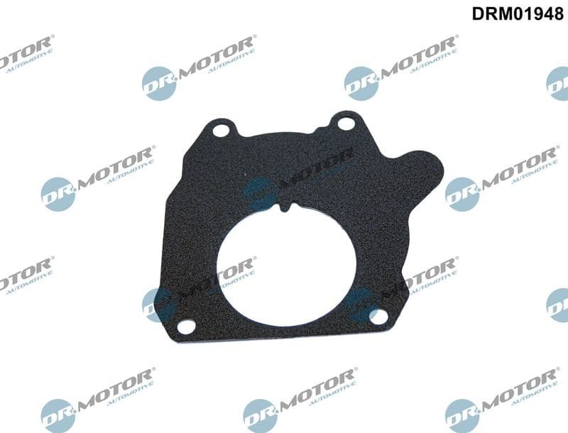 Garnitura, pompa vacuum Dr.Motor Automotive DRM01948
