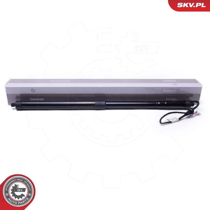 Motor electric, haion ESEN SKV 52SKV960