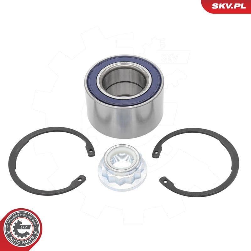 Set rulment roata ESEN SKV 85SKV057