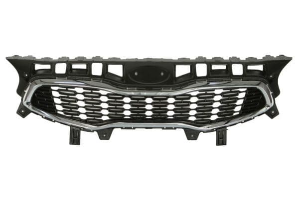 Grila radiator BLIC 6502-07-3268990P