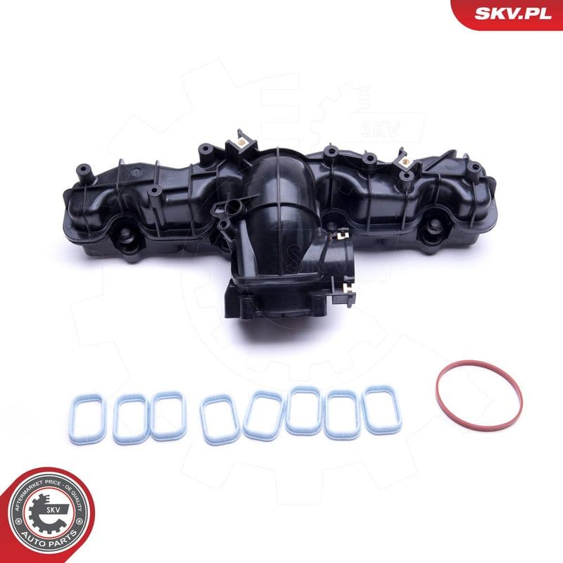 Modul conducta admisie ESEN SKV 49SKV033