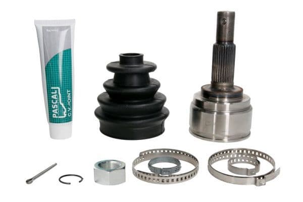 Set articulatie, planetara PASCAL G11085PC
