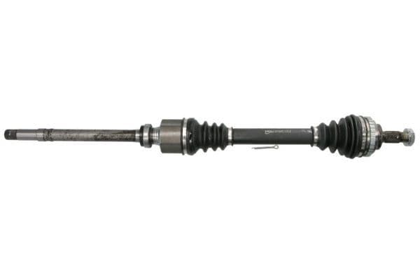 Planetara PASCAL G2P056PC